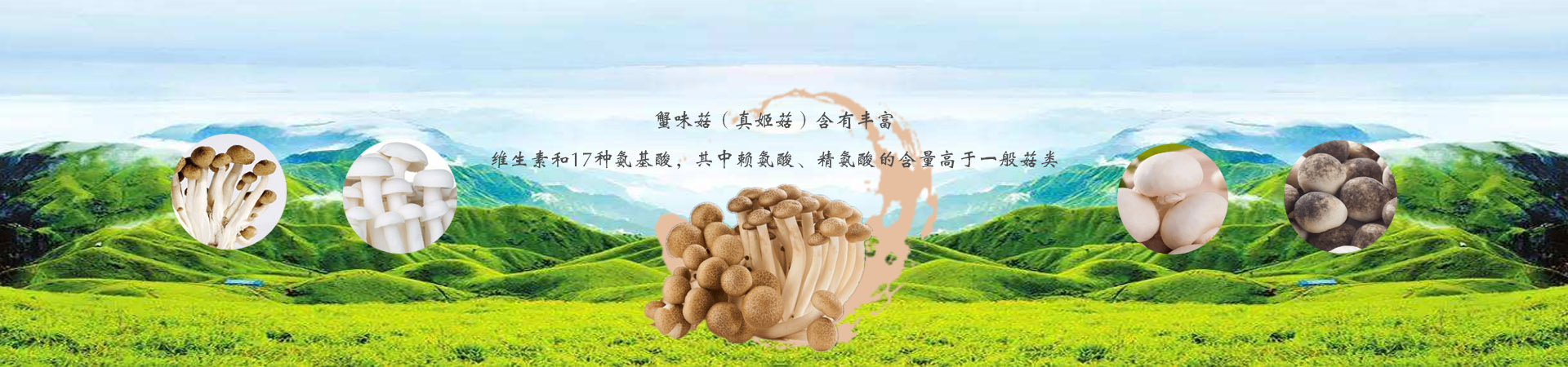 爱游戏官网