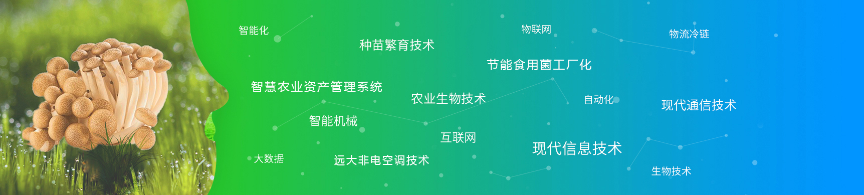 爱游戏官网